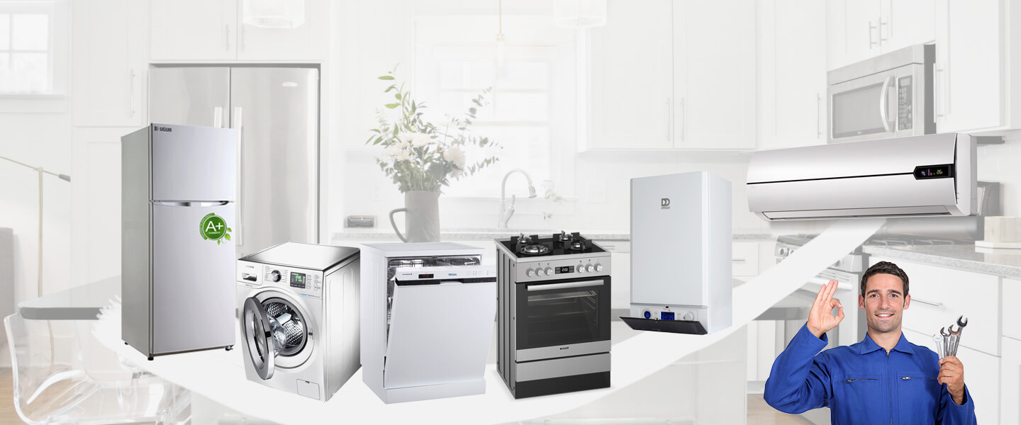 Sarnıç Electrolux Servisi